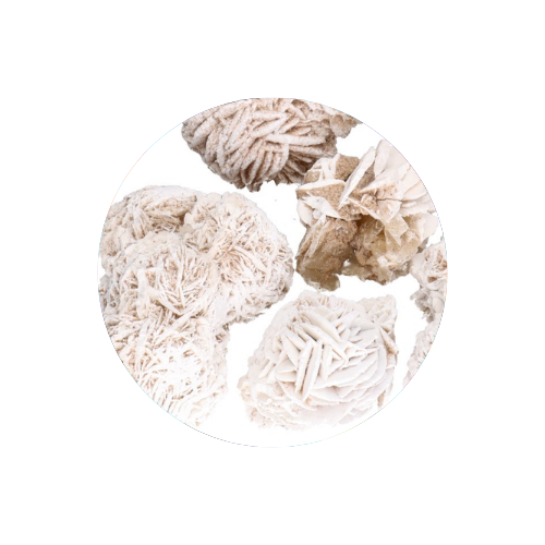 Rosa del Desierto Blanca